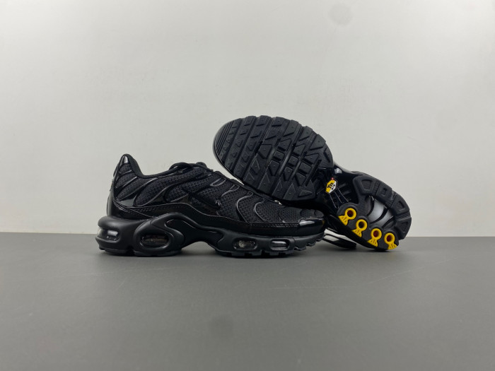 Nike Air Max Plus Triple Black 604133-050
