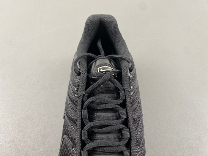 Nike Air Max Plus Triple Black 604133-050