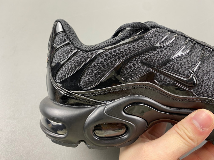 Nike Air Max Plus Triple Black 604133-050