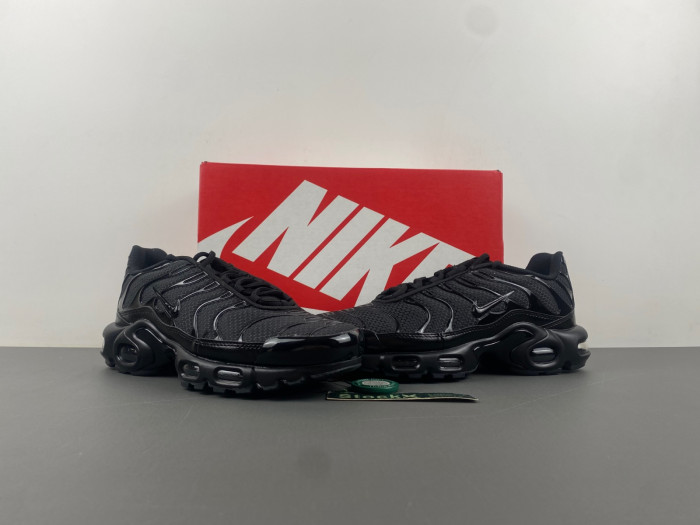 Nike Air Max Plus Triple Black 604133-050