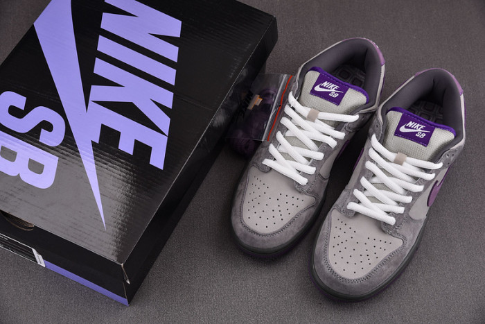 NIKE DUNK SB LOW PURPLE PIGEON 304292-051