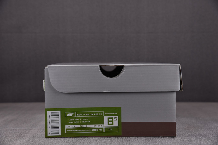 Nike Dunk SB Low SE”Paris“ 308270-111