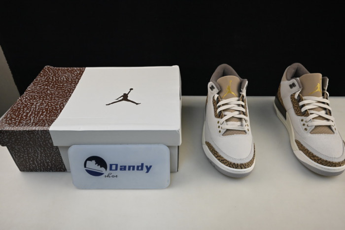 Air Jordan 3 “Palomino” CT8532-102