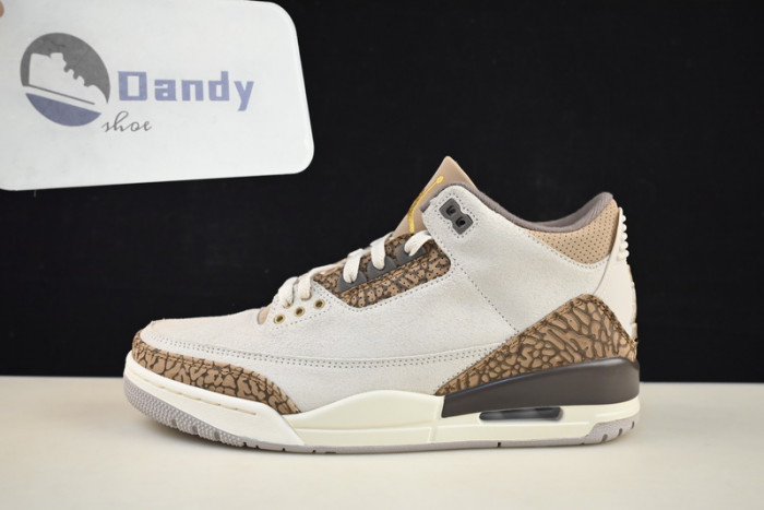 Air Jordan 3 “Palomino” CT8532-102
