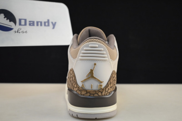 Air Jordan 3 “Palomino” CT8532-102