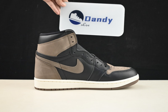 Air Jordan 1 Retro High OG “Palomino” DZ5485-020