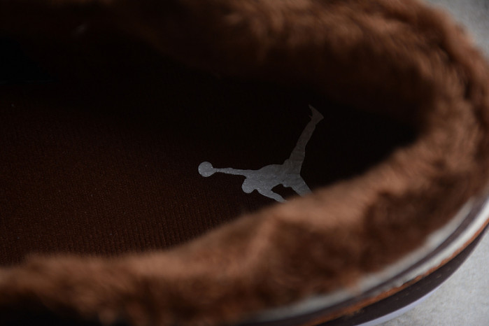 Air Jordan 1 Mid DO6699-200