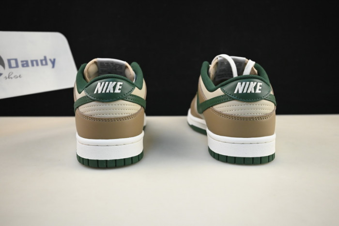 Nike Dunk Low Retro FB7160-231