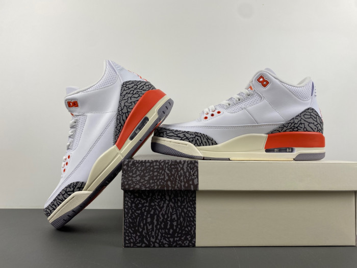 Air Jordan 3 Retro Georgia Peach (Women