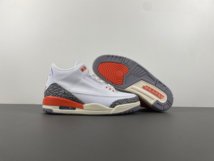 Air Jordan 3 Retro Georgia Peach (Women