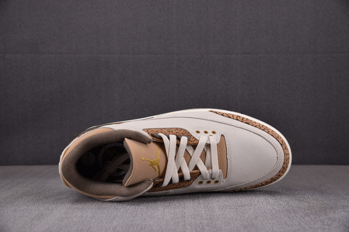 Air Jordan 3 “Palomino” CT8532-102