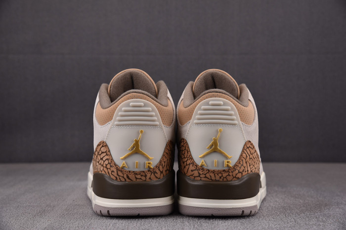 Air Jordan 3 “Palomino” CT8532-102