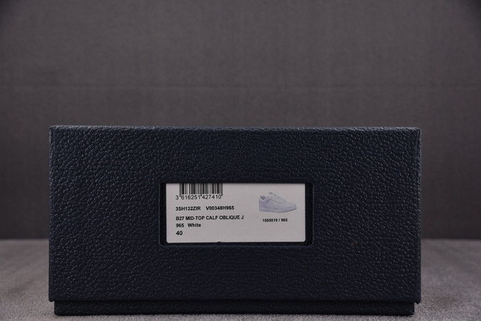 D10R B27 LOW SNEAKER