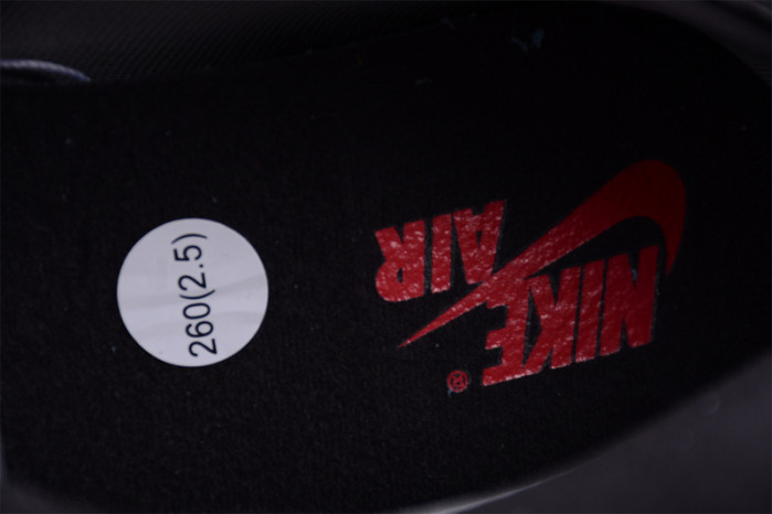 AIR Jordan 1 Retro High Element Gore-Tex Black Infrared  DB2889-002