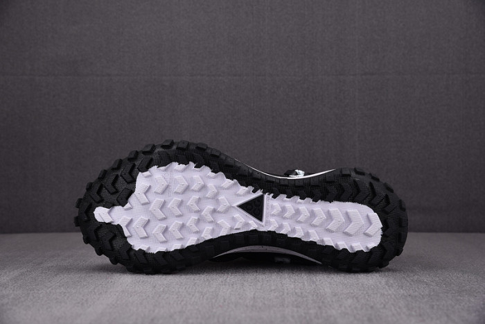 NK ACG Mountain Fly Low GTX SE DD2861-010