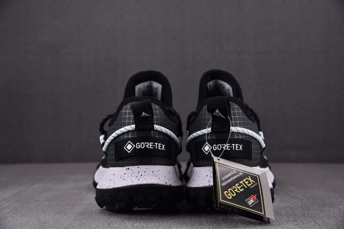 NK ACG Mountain Fly Low GTX SE DD2861-010