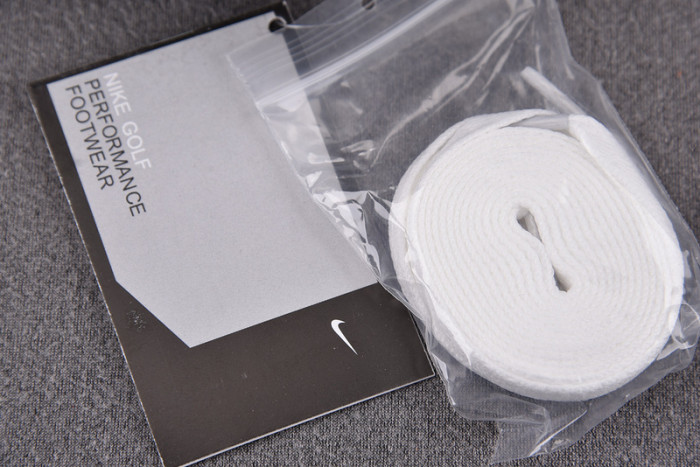 Air Jordan 1 Low Golf “Rust Rink” DD9315-106