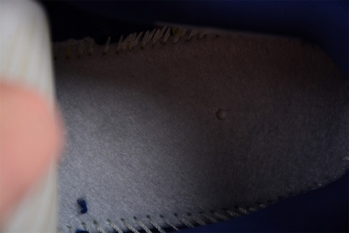 Nike Dunk Low Disrupt 2 Michigan (Women