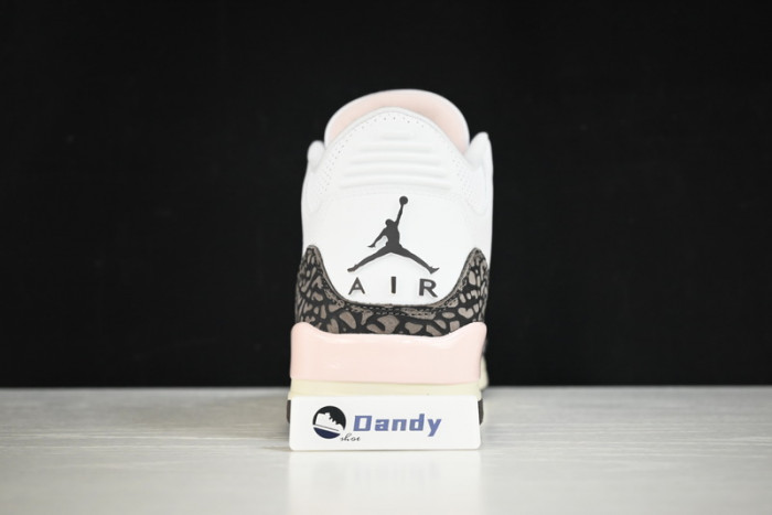 AIR JORDAN 3 “NEAPOLITAN” CK9246-102