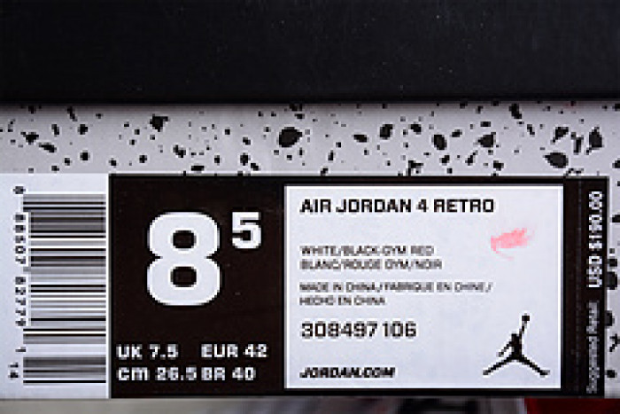 Jordan 4 Retro Alternate 89 308497-106