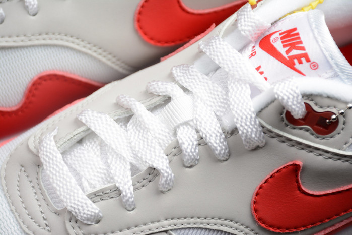 Nike Air Max 1 Anniversary Red 908375-103