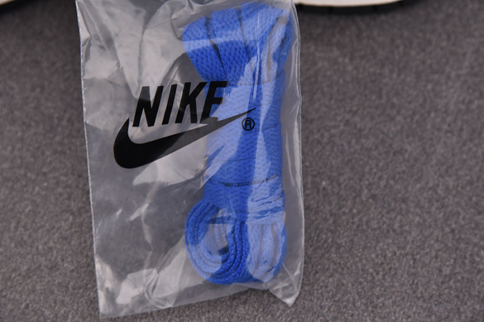 Nike Dunk Low Jackie Robinson DV2122-400